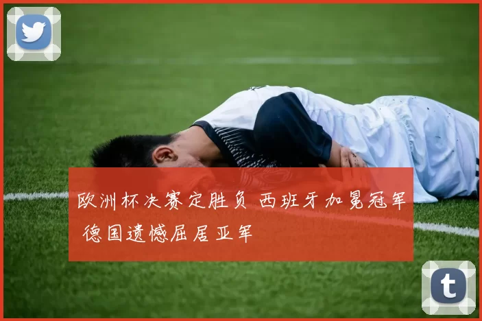 欧洲杯决赛定胜负 西班牙加冕冠军 德国遗憾屈居亚军